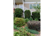 Professional Landscaping thumbnail