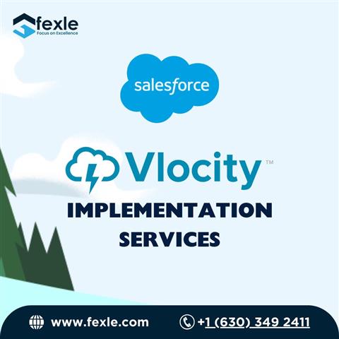 Salesforce Vlocity Services image 1
