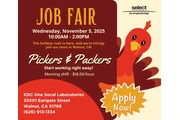 JOB FAIR thumbnail