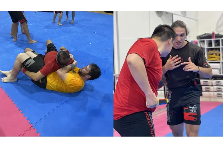 Mixed Martial Arts vs. Kali image 1