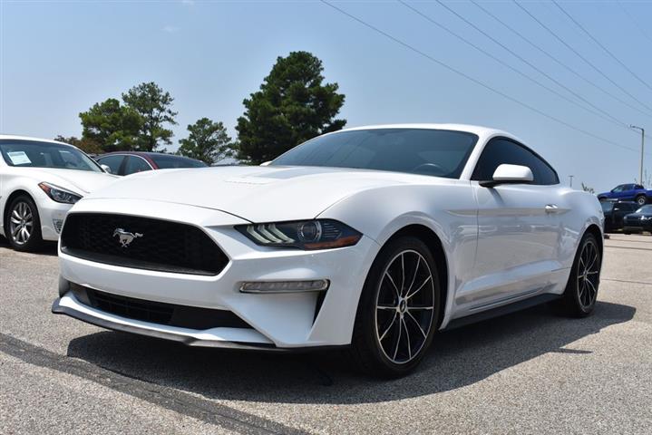 2020 Mustang EcoBoost image 1