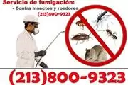 FUMIGACIONES GENERALES 100% en Los Angeles