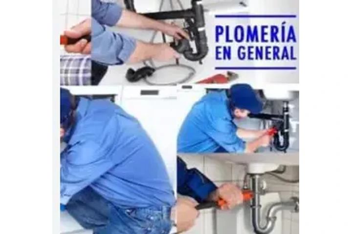 PLOMERIA EN GENERAL!! image 1