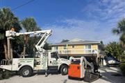 Servicios de árboles asequible en Tampa