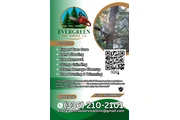 🌿 Servicios de Landscaping 🌳 en Raleigh