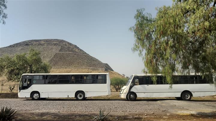 Chofer transporte escolar image 10