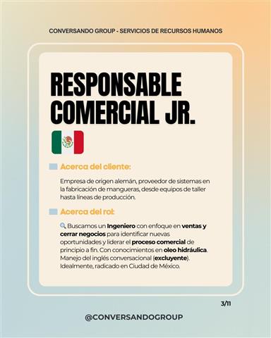 Responsable de Ventas Jr. image 1