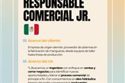 Responsable de Ventas Jr. en Mexico DF