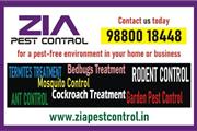 Pest Control Cleaning Service