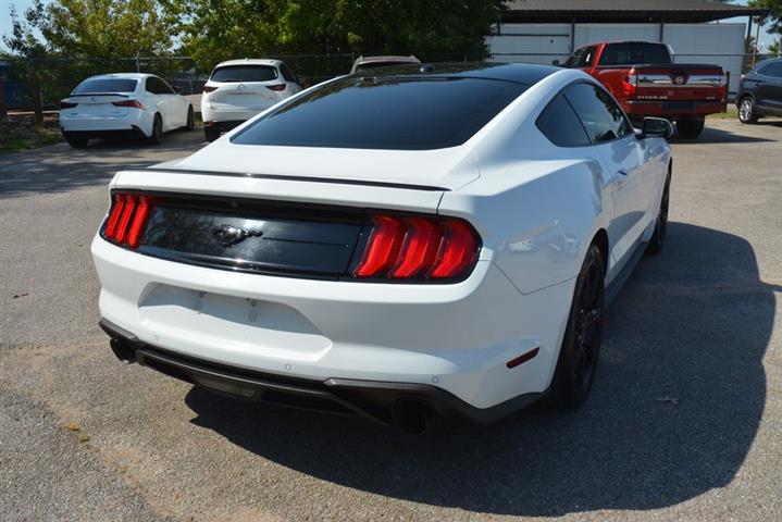 2019 Mustang EcoBoost image 7