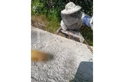 CONTROL DE ABEJAS, BEE REMOVAL en Los Angeles