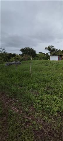 $20000 : Lote de 1072 m2 en Los Santos image 2