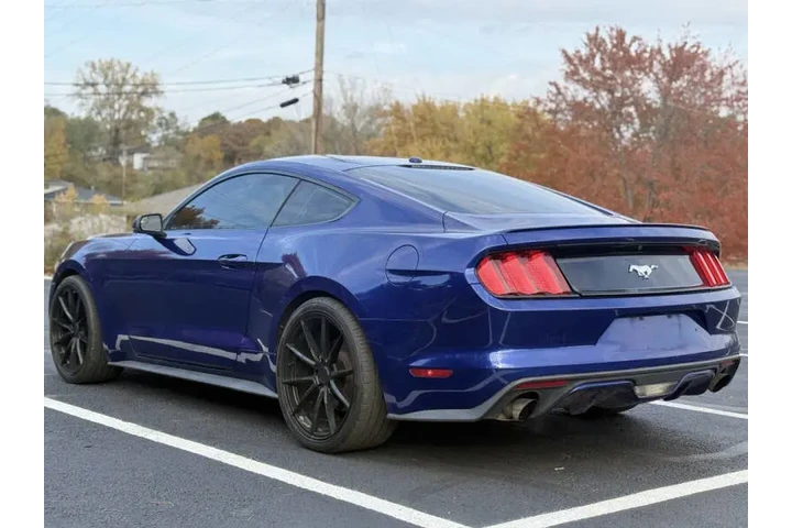 $9999 : 2016 Mustang EcoBoost image 3