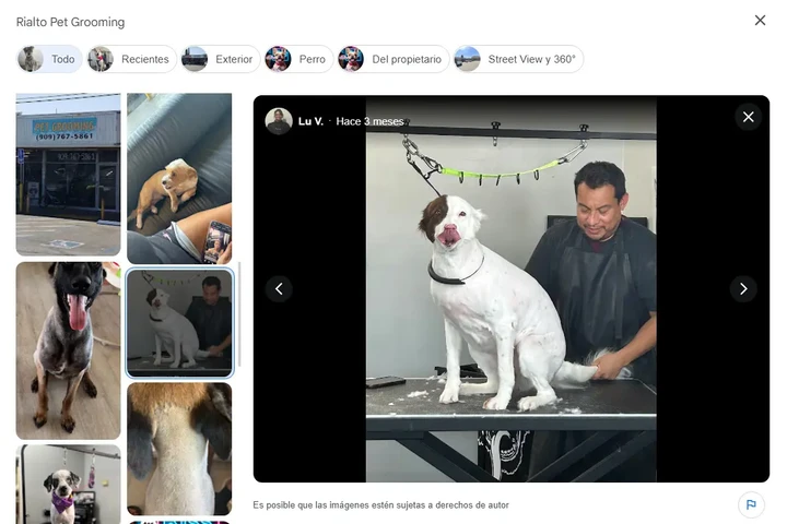 Rilato Pet Grooming image 8