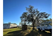 Professional Tree Services thumbnail