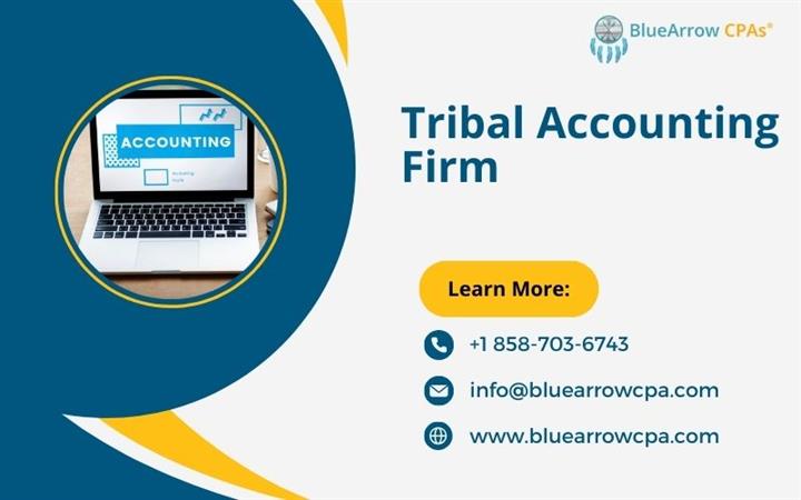 Tribal Accounting Firm - BAI image 1