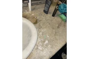 24/7 House Cleaning en Los Angeles