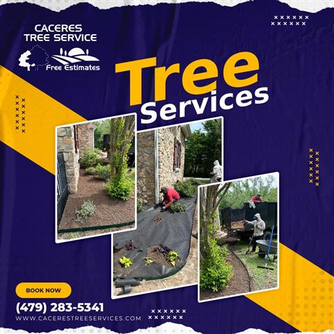 Cáceres Tree Services image 4