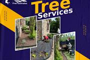 Cáceres Tree Services thumbnail