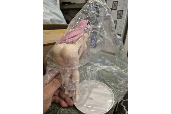 $150 : Anime Dolls y Cargador de Pila image 6