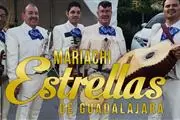 Mariachi profesional thumbnail