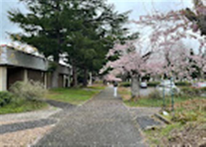 Mt. Hood Community College image 2