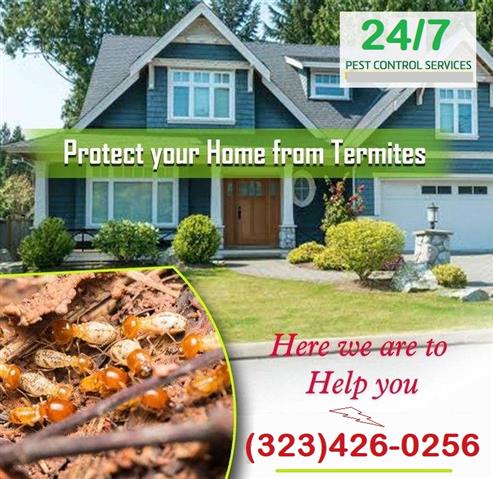 *TERMITE CONTROL GARANTIZADOS* image 5