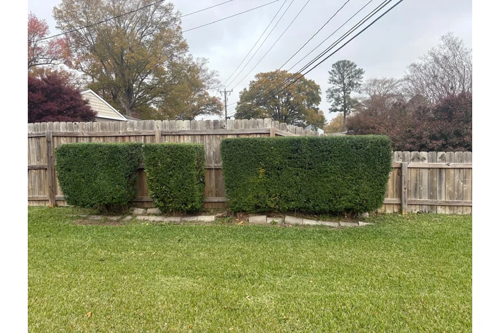 Professional Landscaping image 9