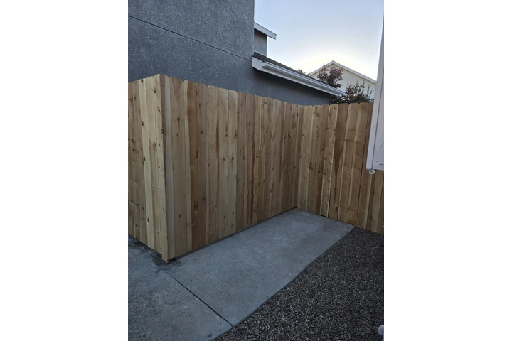 Professional Landscaping image 5