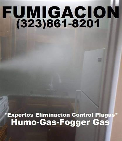 FUMIGACIONES☆PLAGAS ☆TERMITAS☆ image 3