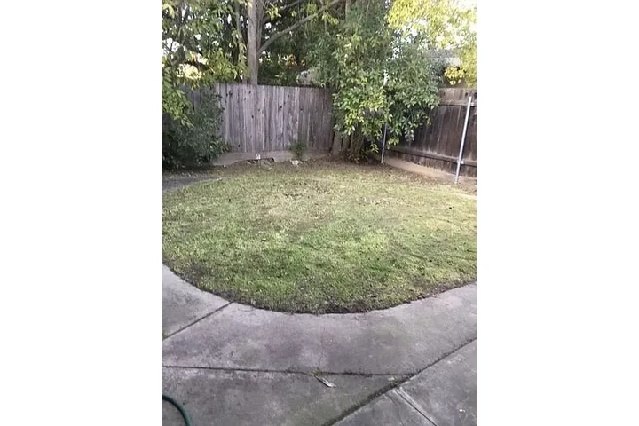 $1450 : 2bed 1bath home with 1000sqft image 10