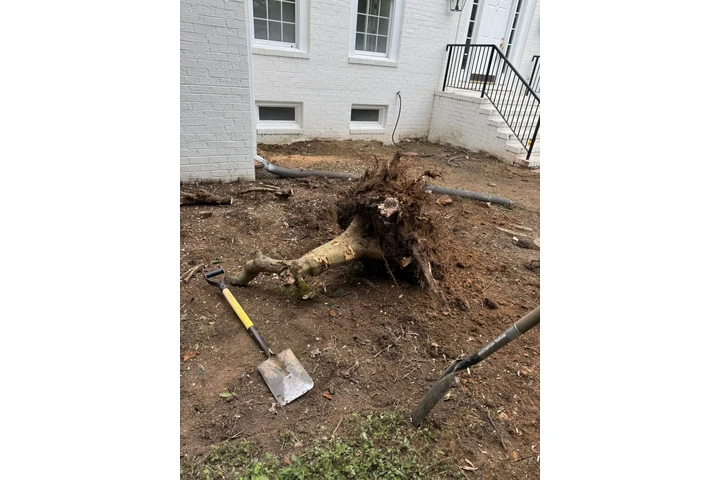Hidalgo Landscaping Services image 1