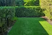 Julio General Landscaping Serv thumbnail 4