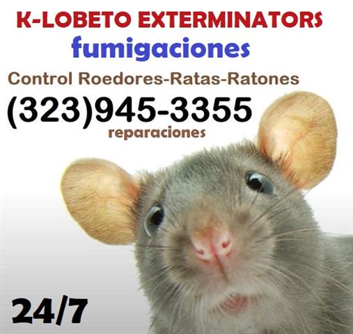 RODENTS PEST CONTROL SERVICES image 7