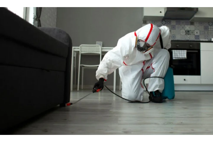 ¡Elimina plagas rápido! image 1