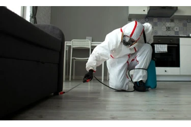 ¡Elimina plagas rápido! en Los Angeles