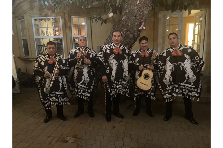 MARIACHI VIRGEN DE GUADALUPE image 4