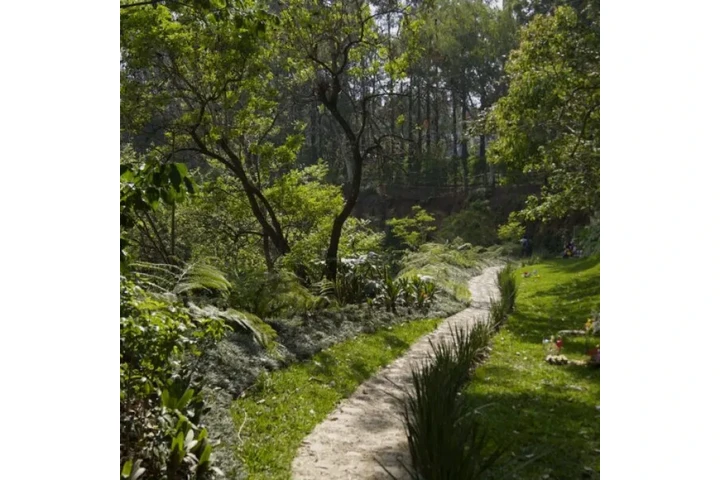 $1 : Terreno en Venta en Cementerio image 2