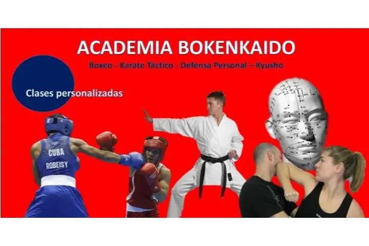 Karatebox como defensa persona image 1