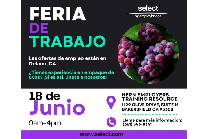 Feria de trabajo image 1