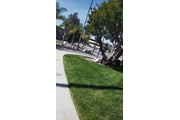 JB landscape thumbnail