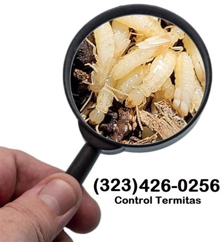 *TERMITE CONTROL GARANTIZADOS* image 3