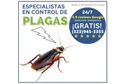 ROACHES CONTROL (323)945-3355. thumbnail