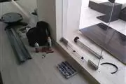 Reparacion de caminadoras thumbnail