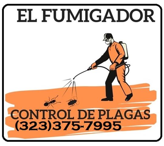 FUMIGADORES PROFESIONALES 24/7 image 2