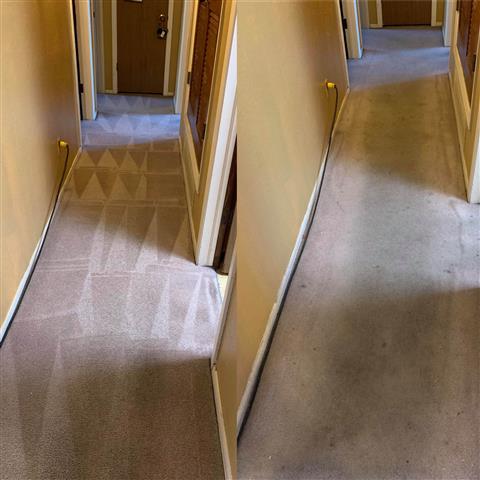 D&L Carpet cleaning and beyond image 3