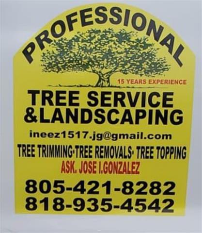 BEST TREE SERVICES!!🌳✨ image 2