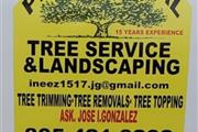 BEST TREE SERVICES!!🌳✨ thumbnail