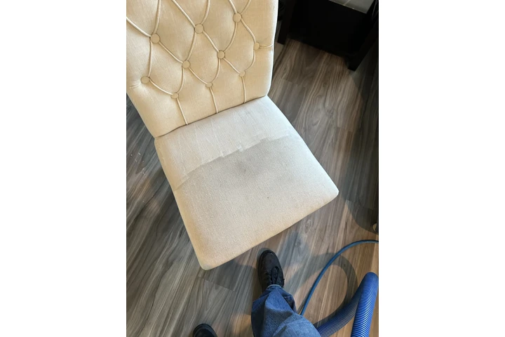 Lipieza de alfombra I sofas image 4