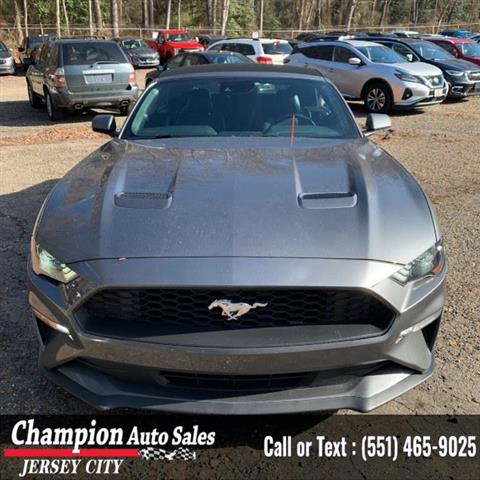Used 2021 Mustang EcoBoost Pr image 3